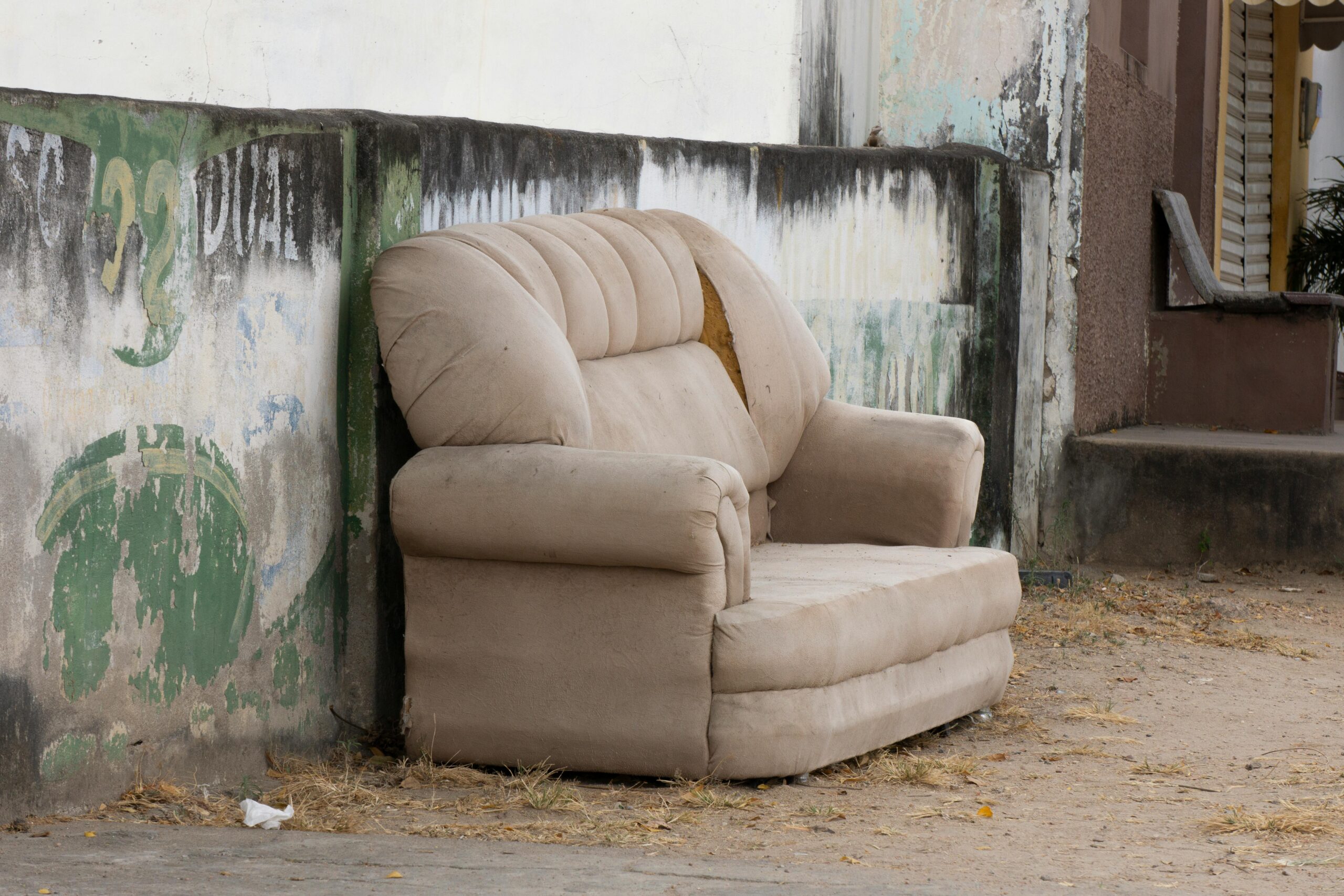 pexels eudescs 28983909